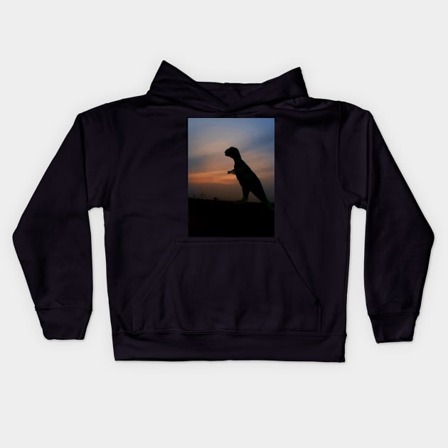 Dino Special Kids Hoodie by JNS Art